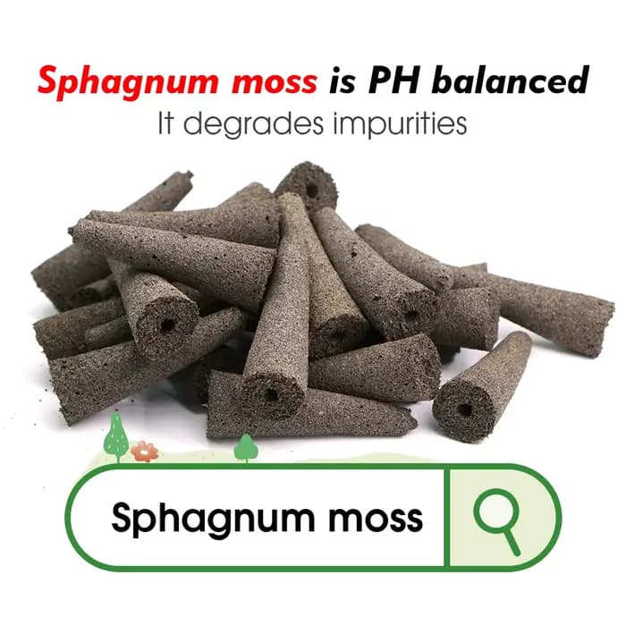 Éponges de culture hydroponique de jardin pour plantes de démarrage de graines, transplantation de g