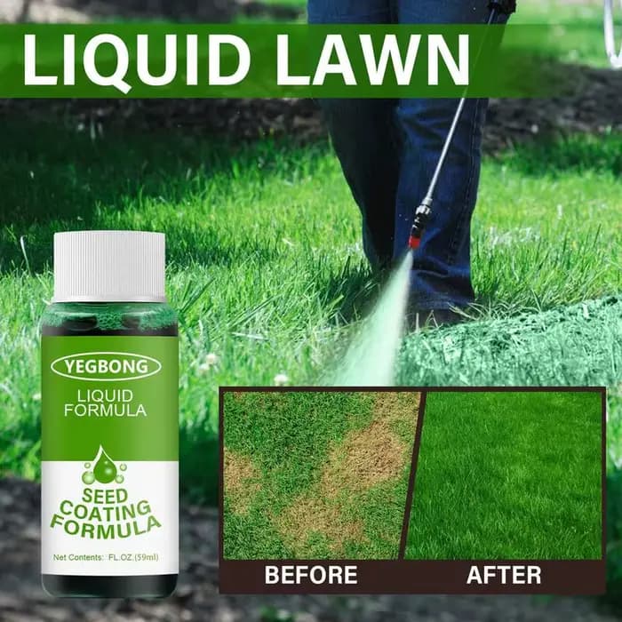 Spray de pelouse vert enge, système de semis domestique, spray liquide, soins de la pelouse, plans,