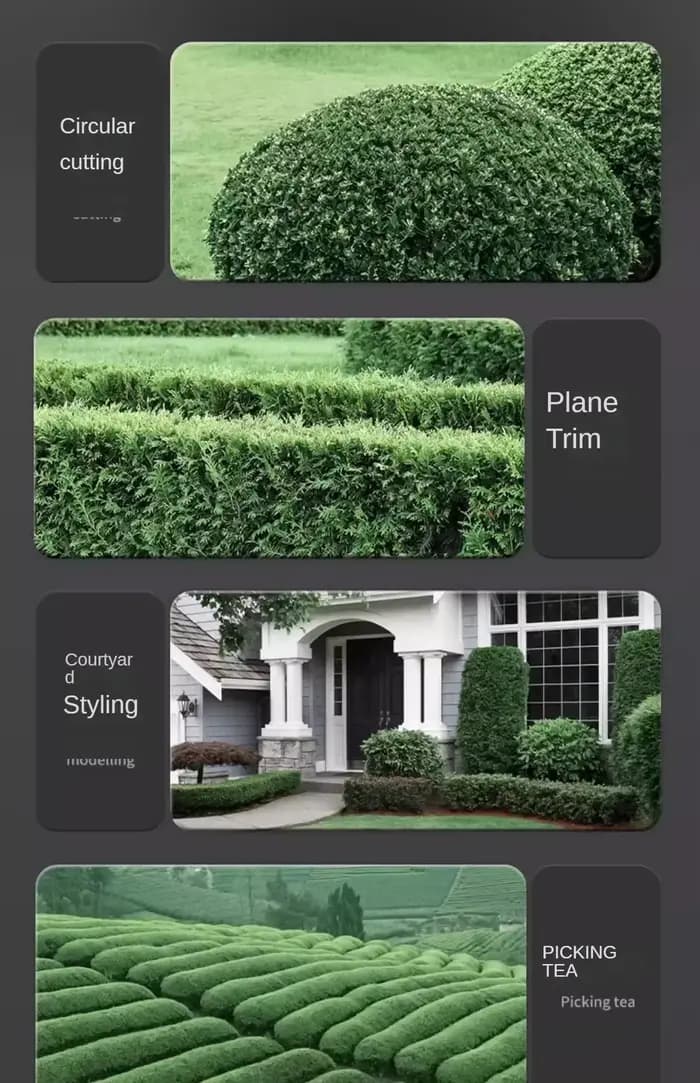 Taille-haie électrique portatif : sécateur sans fil pour jardin et pelouse