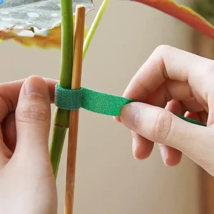 Attaches pour plantes en Nylon, 20/2M, crochet de pansement, boucle d'attache réglable, Support pour