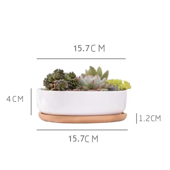 Pot de fleurs rond en céramique blanche