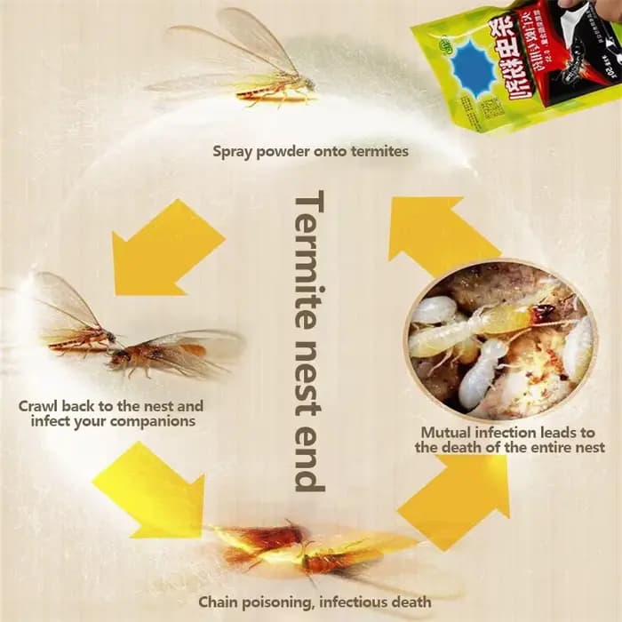 Agent insecticide en poudre efficace pour l'élimination des termites et des fourmis infectieuses