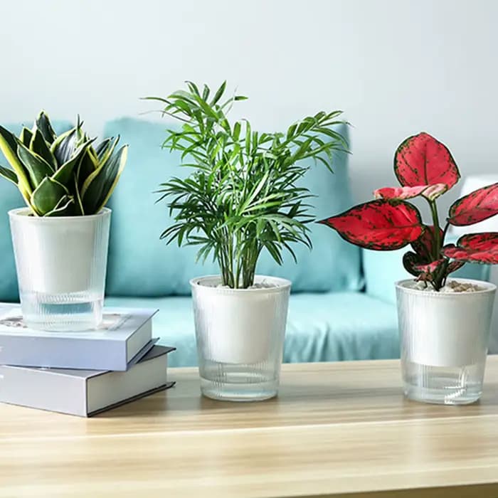 Pot de plante auto-arrosant coloré à effet rayé vertical