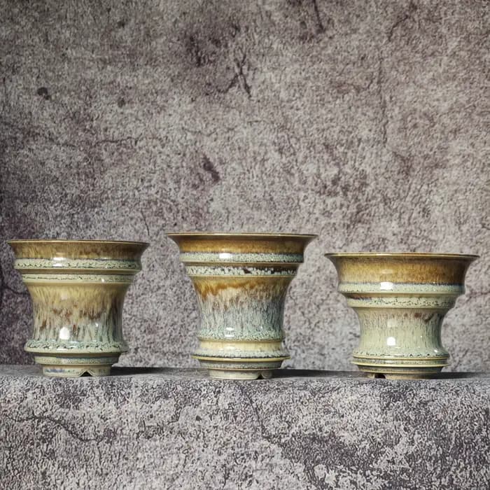 Pots en céramique Caudex