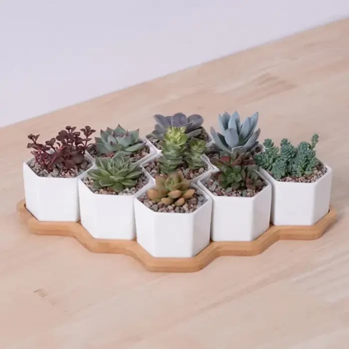 Pot de fleurs hexagonal en céramique blanche avec support en bambou