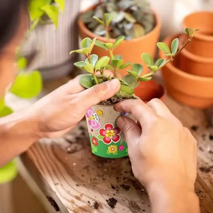 Kit de fabrication de pots de fleurs artisanaux avec dômes