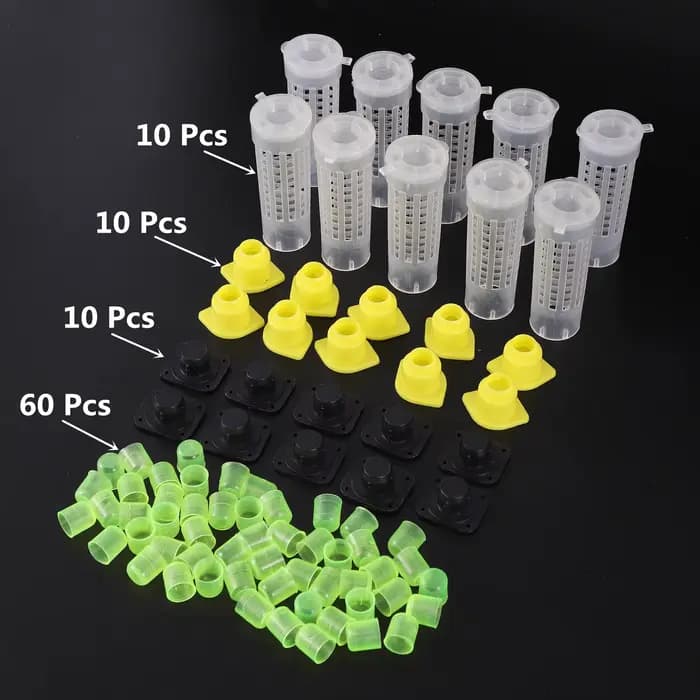 1 ensemble d'outils pour abeilles, Cages, système de gobelets d'élevage roi reine, boîte de receveur