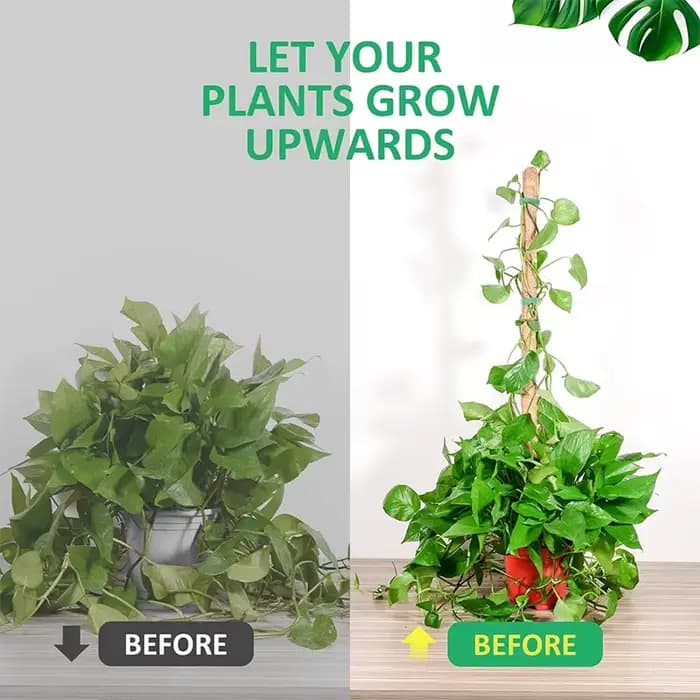 Plantes pliables Support d'escalade plante mousse coir pôle bas Support d'escalade déformé cocotier