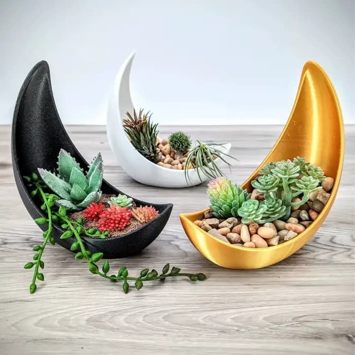 Pots de fleurs en forme de lune, décoration de maison moderne, plantation de plantes succulentes, améliorant la beauté spatiale, une qualité de vie indispensable.