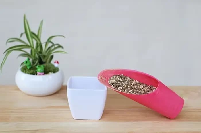 Seau en plastique pelle en pot cylindre de culture Mini plante charnue sol pelle et pelle jardinage