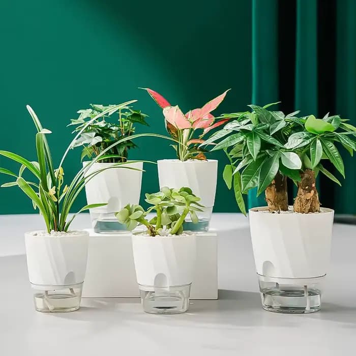 Pots de jardinières à arrosage automatique paresseux