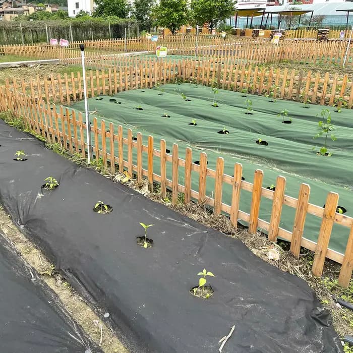 Tissu anti-mauvaises herbes perforé vert et noir, 2,62 pieds de large avec 12 piquets de sol de qual
