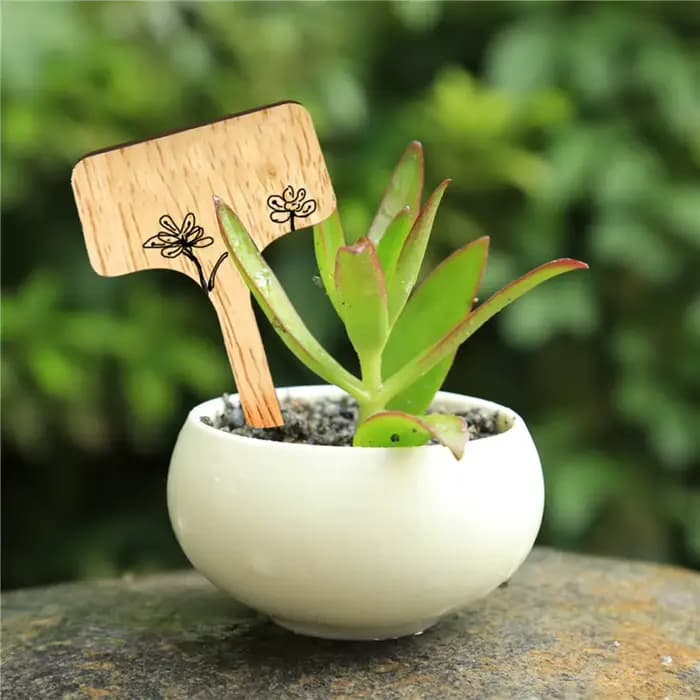 Plante en bambou de type T en bois écologique, étiquettes de signalisation, marqueurs de jardin pour