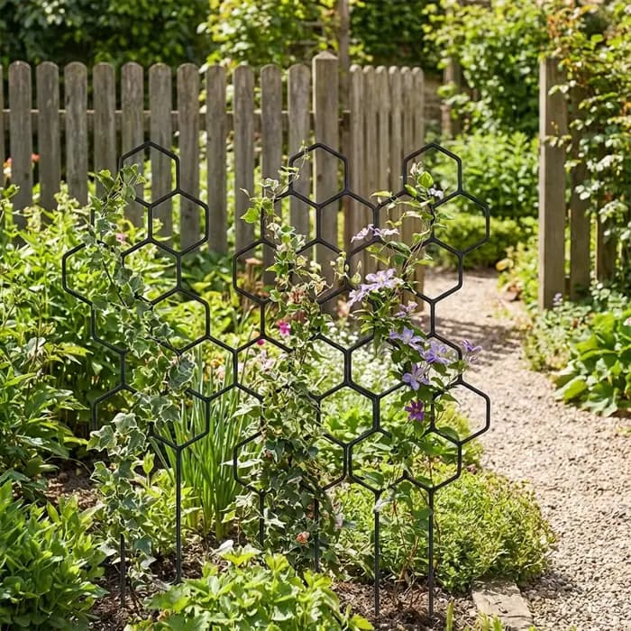 2 treillis pour plantes en forme de nid d'abeille