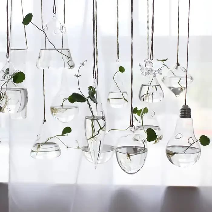 Vase en verre suspendu hydroponique