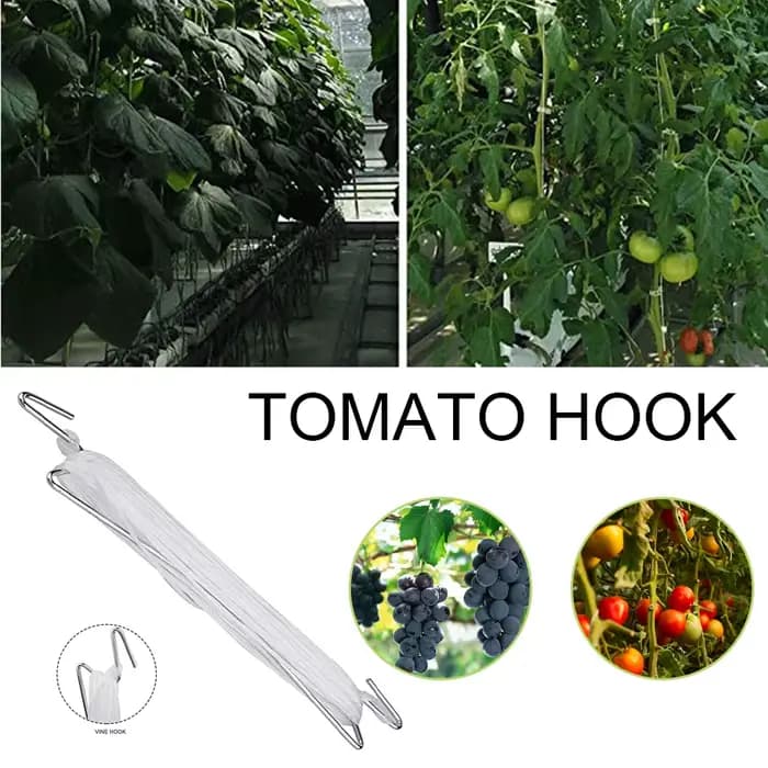 Crochets de Plantation de Tomates, Rouleau de Ficelle, Serre, Support de Légumes, Clips avec Corde d