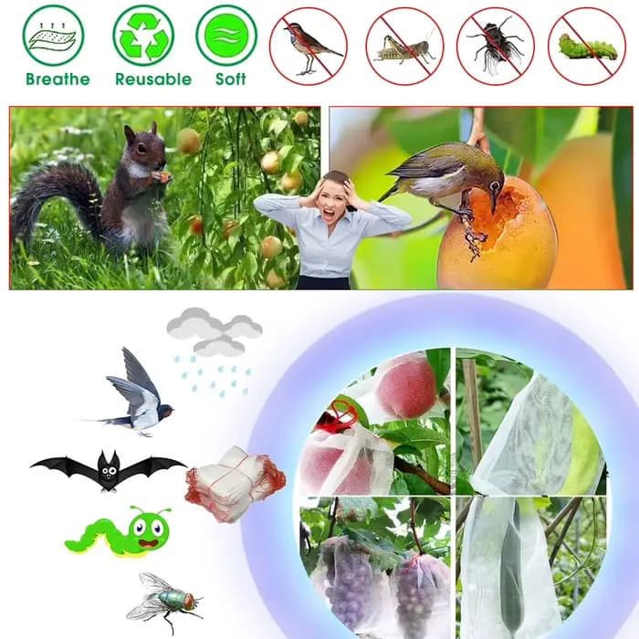 Sac en filet en Nylon, sacs de protection pour fruits, pour verger, raisin, pomme, Anti-oiseaux, lut