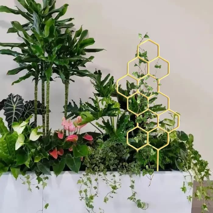 1 treillis de plantes en plastique antirouille