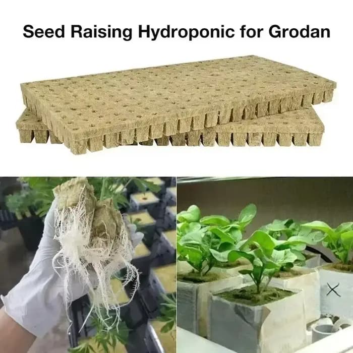 Stonewool Hydroponic Grow Media Cubes, Soillless Substrat, Seeded Rock Wool Plug, Seedling Night, Pl