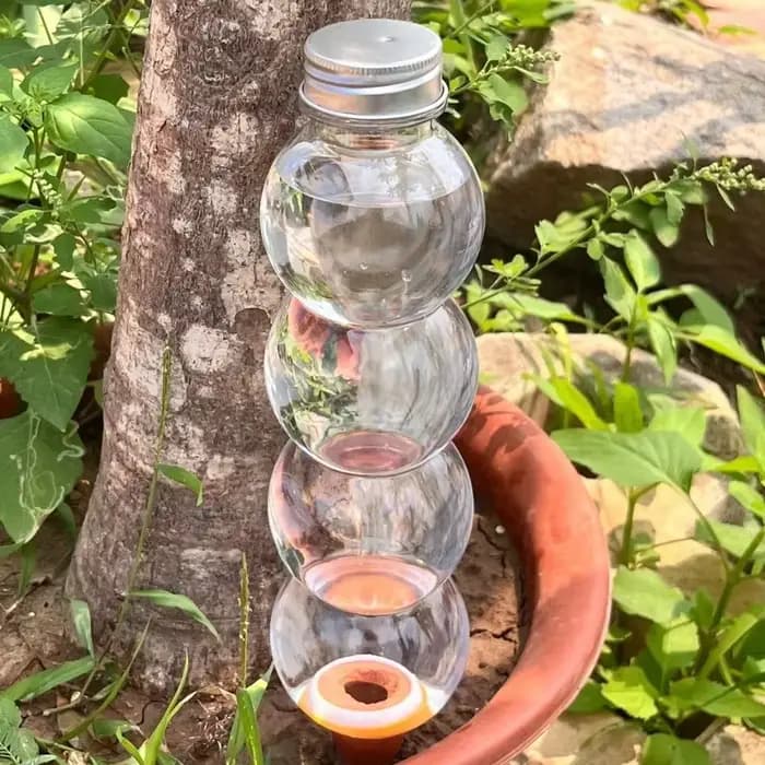 Dispositif d'arrosage automatique transparent en forme de gourde allongée