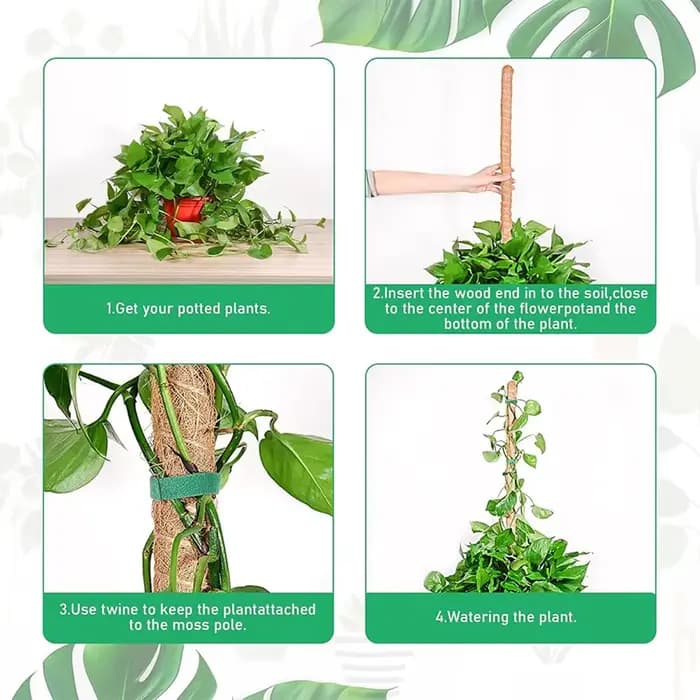 Plantes pliables Support d'escalade plante mousse coir pôle bas Support d'escalade déformé cocotier