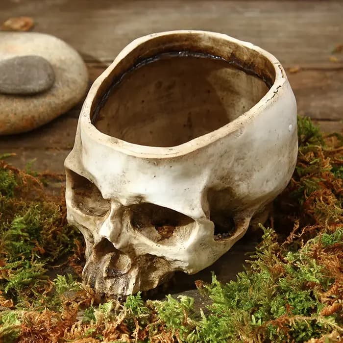 1 pièce, pot de fleurs créatif en forme de crâne
