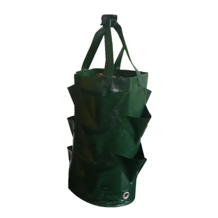 Sac de planteur de fleurs de pommes de terre