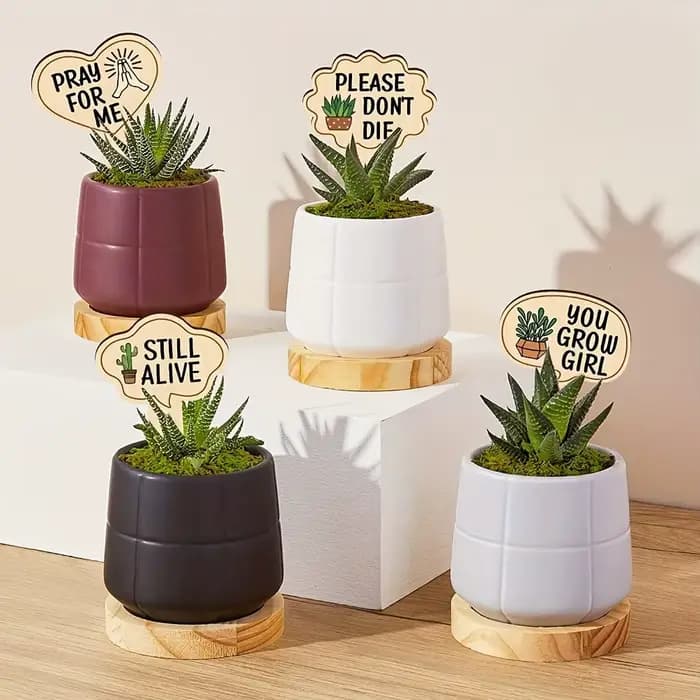 Lot de 15 étiquettes de plantes en bois populaires pour plantes en pot