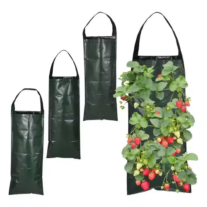 Sacs de culture suspendus pour fraises et tomates