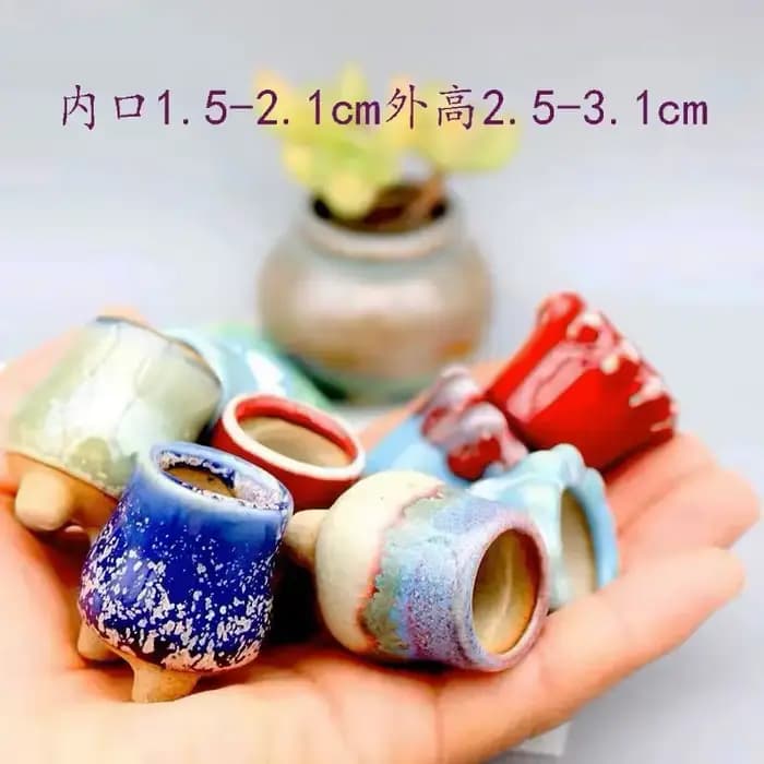 Mini pot de fleurs charnu semi-glaçure avec trou