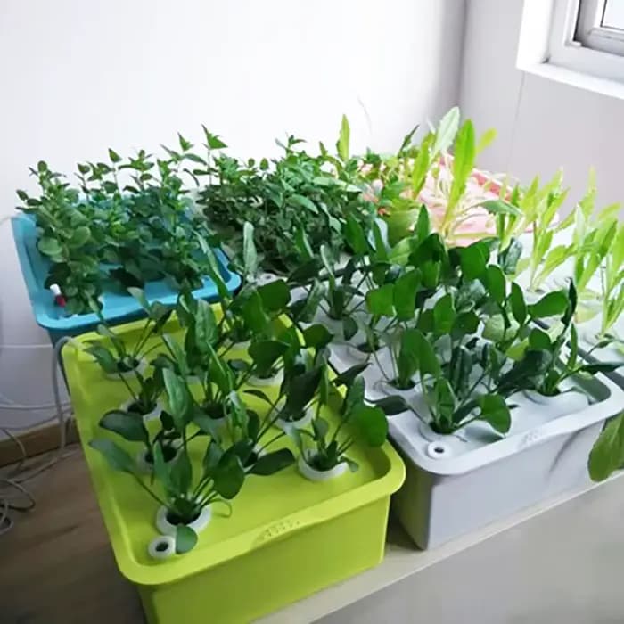 Kit hydroponique de Site de plantes à 24 trous, Pots de jardin, jardinières, Pots de semis, boîte de