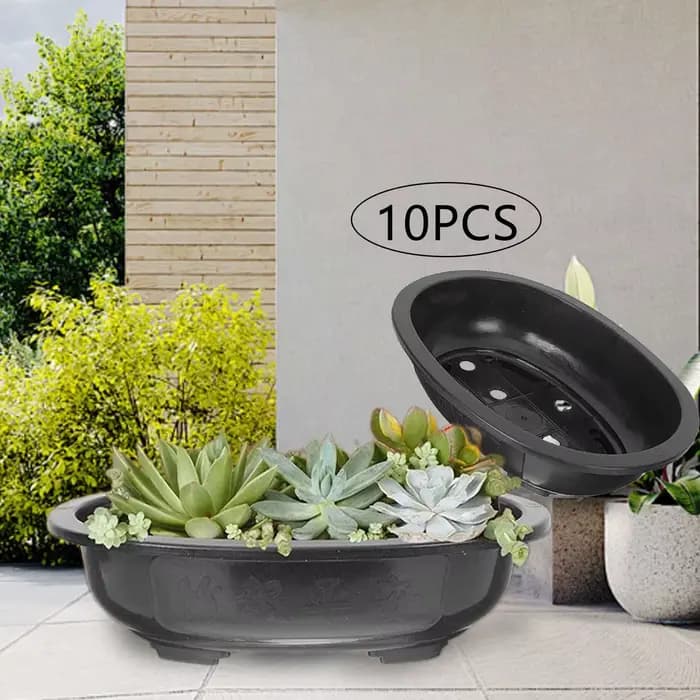 Pots de formation de bonsaï pour plantes
