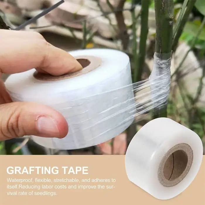 Ruban de greffage auto-adhésif extensible pour arbres fruitiers, plantes de pépinière, semis, vignes