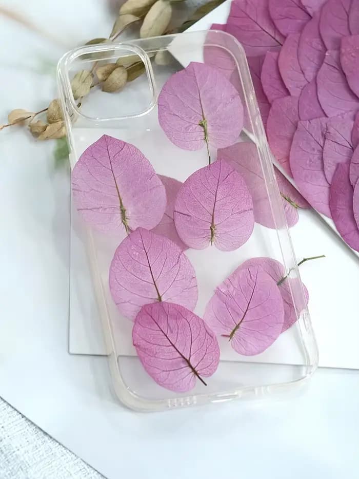 3-5cm/24 pièces, Fleurs de Bougainvillea Glabra pressées naturelles