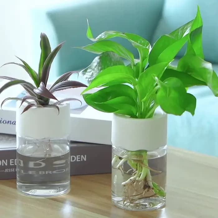 Kit de Pots hydroponiques pour pépinière, semis, Pot de plantes en plastique, accessoires de jardina