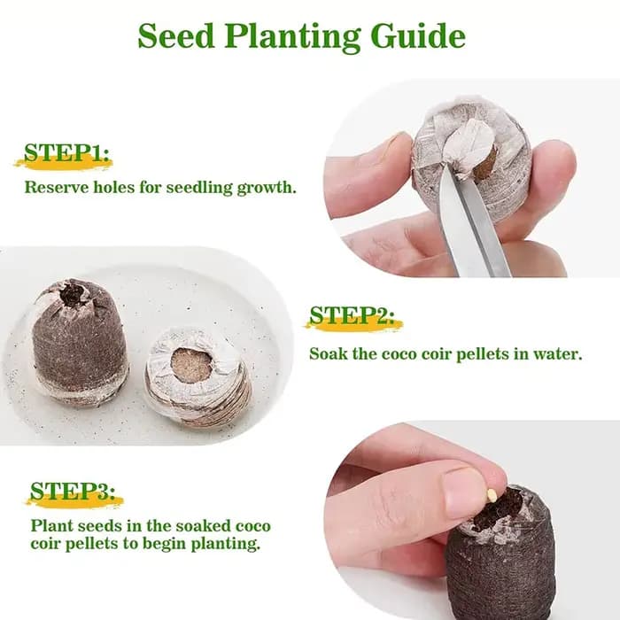 42 pastilles de semis de plantes de 30 mm, coupelles de semis pour légumes, fleurs, bonsaïs, accesso