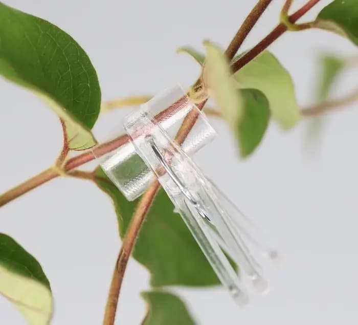 Clips de greffage pour plantes, 100 pièces, pinces de fixation en plastique, outils de jardin pour c