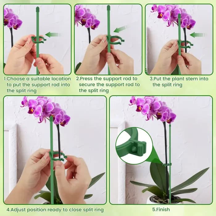 Piquets de Support de plantes réglables, poteau d'escalade avec Clips et bâtons de tuyaux de connexi