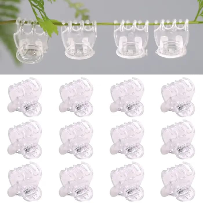 20-100 pièces Clips de plantes de jardin transparents en plastique transparent 6 griffes orchidée pi