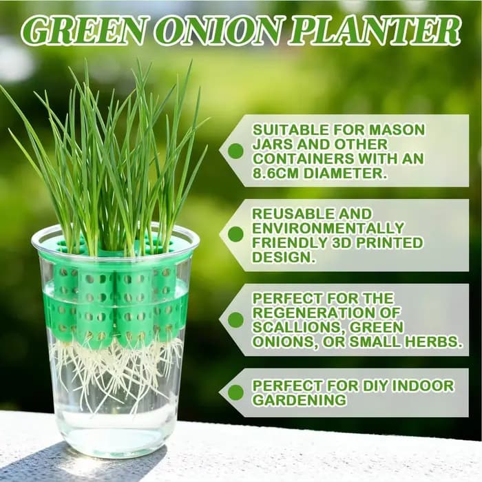Pot de culture pour la repousse des oignons verts, Kit de germination hydroponique transparent pour pousses d'oignon