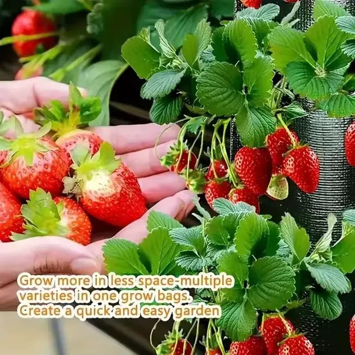 Sac de plantation vertical pour fraises à 4/6/8/10 trous