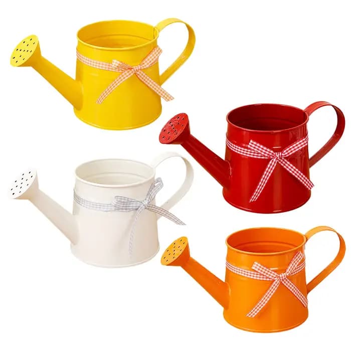 Arrosoir de jardin moderne 1L pour plantes et fleurs