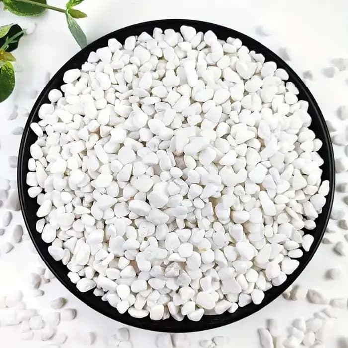 100/300/500G galets blancs pierres décoratives pour plantes-roches de rivière naturelles pour l'aménagement paysager de