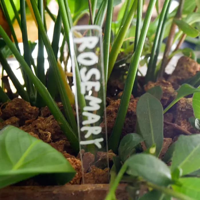 Étiquettes de plantes en acrylique, 24 pièces, marqueurs de plantes vierges transparents, marqueurs