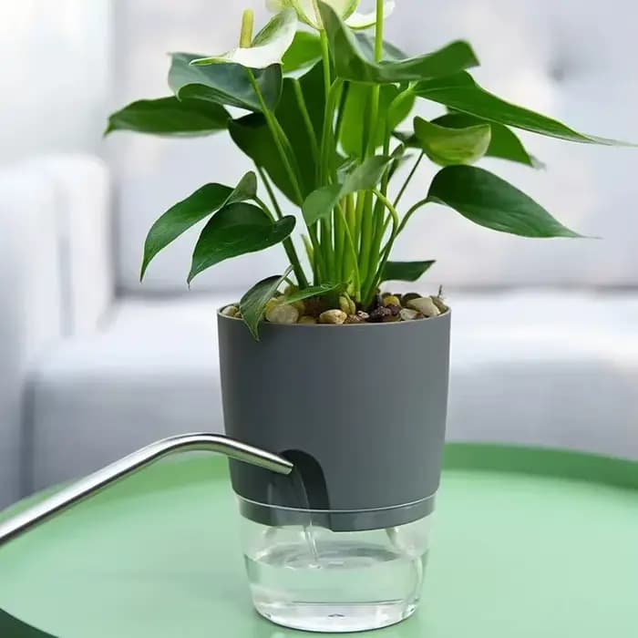 Pot de fleur en plastique Transparent Double couche