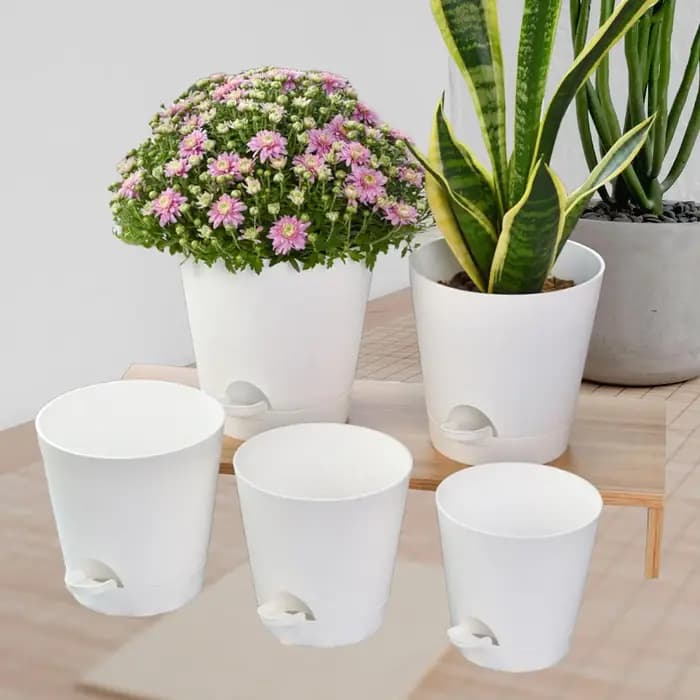 5 pots auto-arrosants, pots de pépinière pour personnes pressées