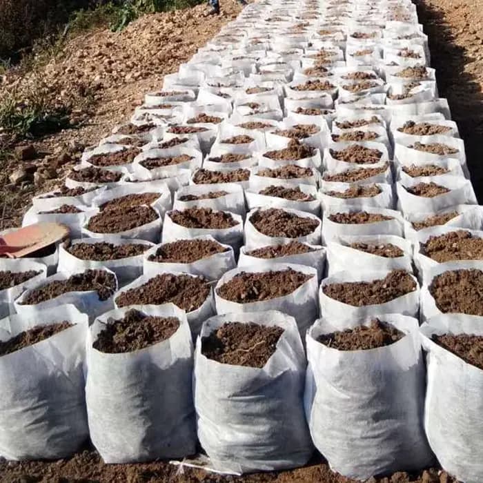 Pots de semis Non tissés biodégradables, 100 pièces, différentes tailles, sacs de plantation écologi