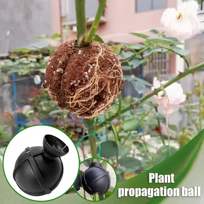 Boîte de greffage et de bouturage réutilisable pour plantes de jardin et verger