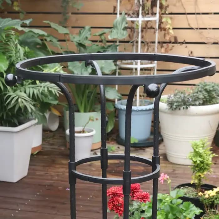 Treillis d'escalade de roses en forme de parapluie à cercle unique de jardinage