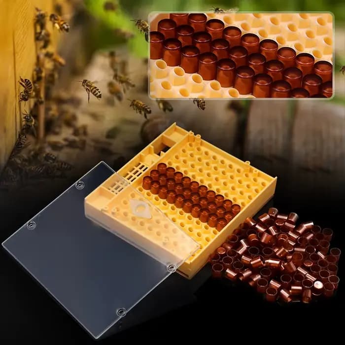Kit d'apiculture Nicot Queen, équation, élevage, greffe en plastique, larve, stylo, rouleau à cheveu